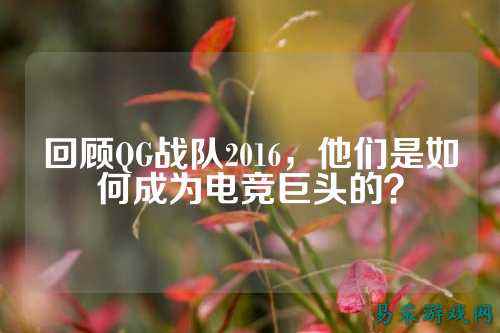 回顾QG战队2016,他们是如何成为电竞巨头的?