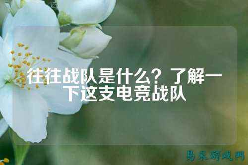往往战队是什么?了解一下这支电竞战队