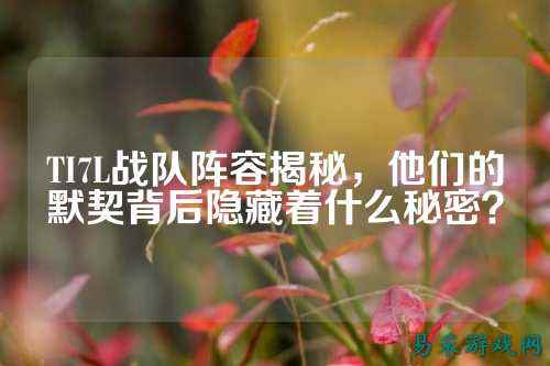 TI7L战队阵容揭秘,他们的默契背后隐藏着什么秘密?