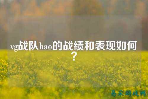 vg战队hao的战绩和表现如何?
