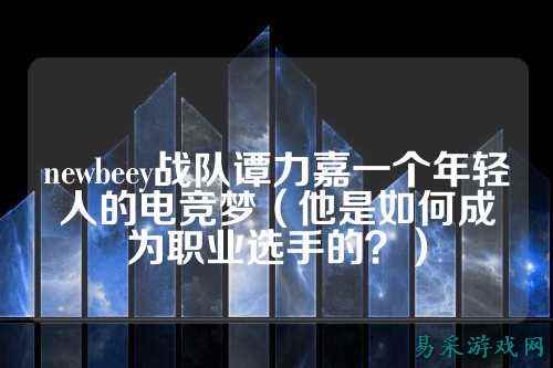 newbeey战队谭力嘉一个年轻人的电竞梦(他是如何成为职业选手的?)