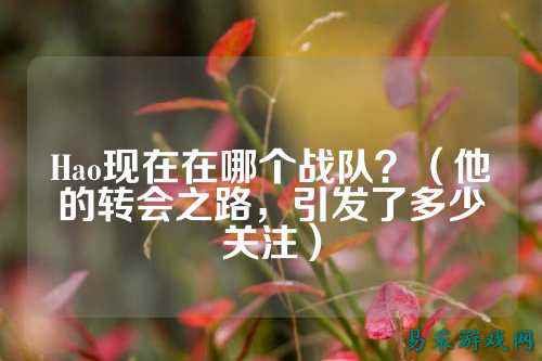 Hao现在在哪个战队?(他的转会之路,引发了多少关注)