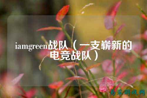 iamgreen战队(一支崭新的电竞战队)