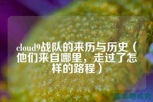 cloud9战队的来历与历史（他们来自哪里，走过了怎样的路程）