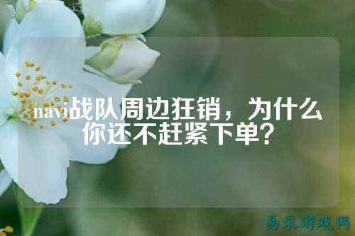 navi战队周边狂销，为什么你还不赶紧下单？