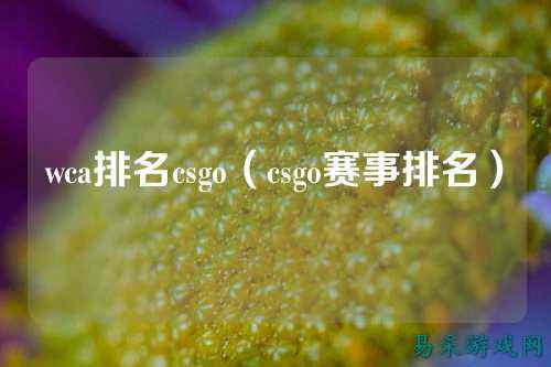 wca排名csgo（csgo赛事排名）