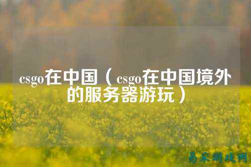 csgo在中国（csgo在中国境外的服务器游玩）