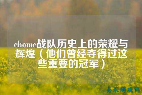 ehome战队历史上的荣耀与辉煌(他们曾经夺得过这些重要的冠军)