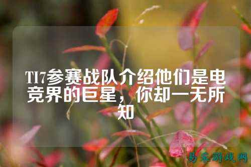 TI7参赛战队介绍他们是电竞界的巨星,你却一无所知