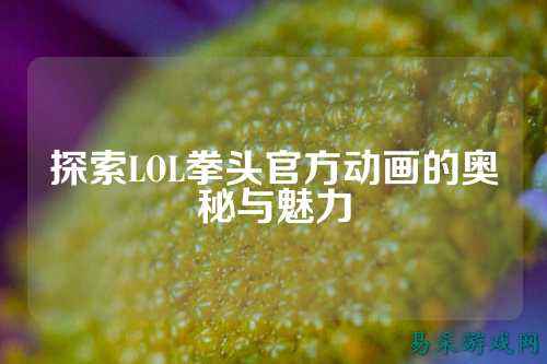 探索LOL拳头官方动画的奥秘与魅力