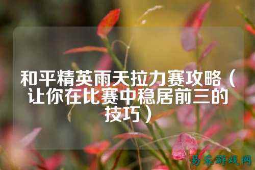 和平精英雨天拉力赛攻略(让你在比赛中稳居前三的技巧)