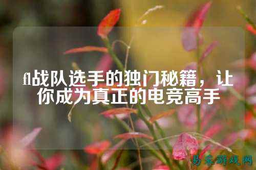 fl战队选手的独门秘籍,让你成为真正的电竞高手