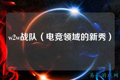 w2w战队(电竞领域的新秀)