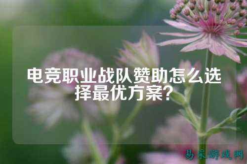 电竞职业战队赞助怎么选择最优方案?