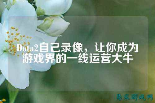 Dota2自己录像,让你成为游戏界的一线运营大牛