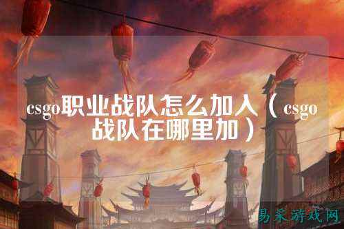 csgo职业战队怎么加入(csgo战队在哪里加)