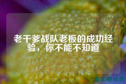 老干爹战队老板的成功经验，你不能不知道