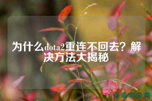 为什么dota2重连不回去？解决方法大揭秘
