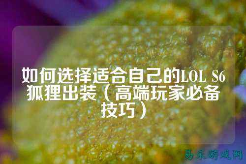 如何选择适合自己的LOL S6狐狸出装（高端玩家必备技巧）