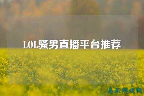 LOL骚男直播平台推荐