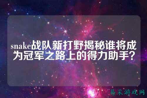 snake战队新打野揭秘谁将成为冠军之路上的得力助手?