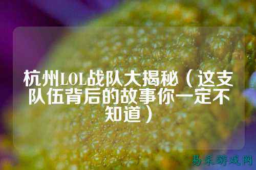 杭州LOL战队大揭秘(这支队伍背后的故事你一定不知道)