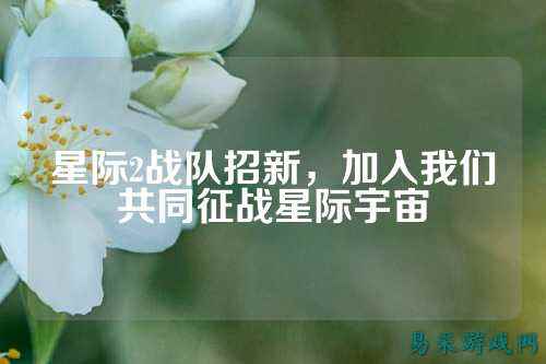 星际2战队招新，加入我们共同征战星际宇宙