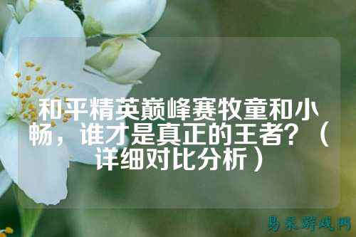和平精英巅峰赛牧童和小畅,谁才是真正的王者?(详细对比分析)