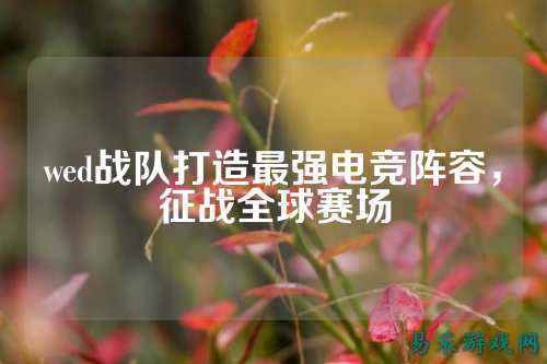 wed战队打造最强电竞阵容，征战全球赛场