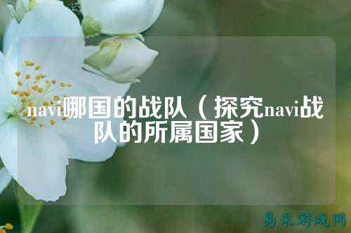 navi哪国的战队（探究navi战队的所属国家）