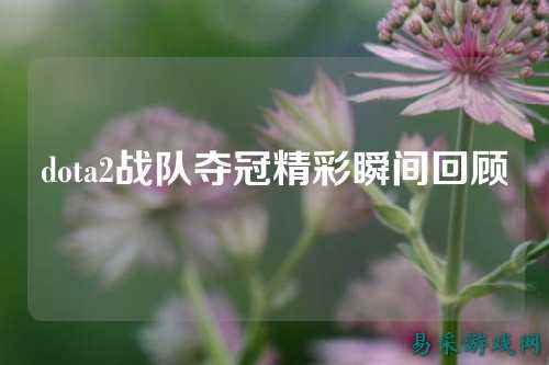 dota2战队夺冠精彩瞬间回顾