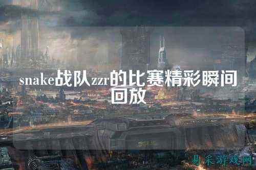 snake战队zzr的比赛精彩瞬间回放