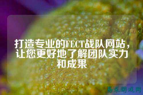 打造专业的FECT战队网站,让您更好地了解团队实力和成果