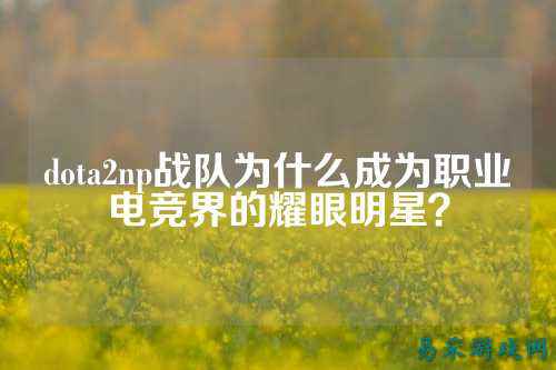 dota2np战队为什么成为职业电竞界的耀眼明星?