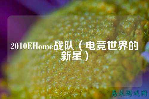 2010EHome战队(电竞世界的新星)