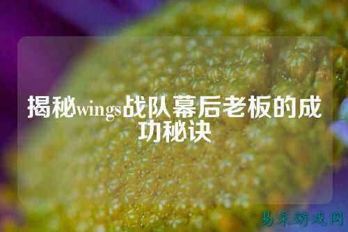 揭秘wings战队幕后老板的成功秘诀