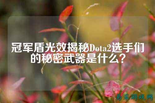 冠军盾光效揭秘Dota2选手们的秘密武器是什么？