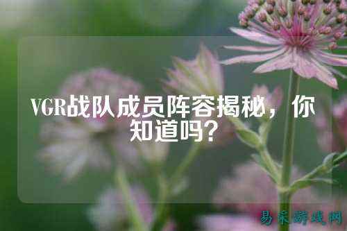 VGR战队成员阵容揭秘,你知道吗?