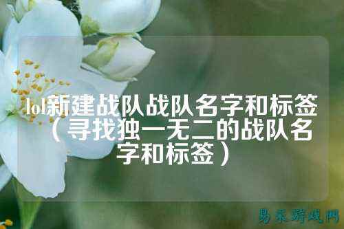 lol新建战队战队名字和标签(寻找独一无二的战队名字和标签)