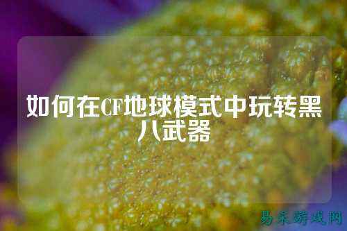 如何在CF地球模式中玩转黑八武器