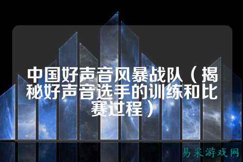 中国好声音风暴战队(揭秘好声音选手的训练和比赛过程)