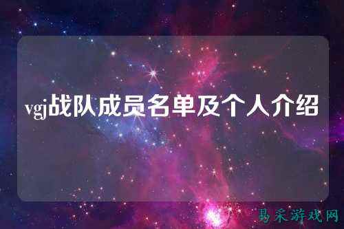 vgj战队成员名单及个人介绍