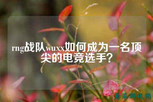 rng战队wuxx如何成为一名顶尖的电竞选手?