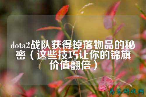 dota2战队获得掉落物品的秘密(这些技巧让你的锦旗价值翻倍)