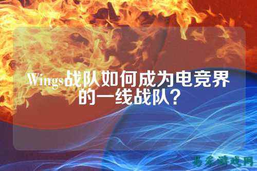 Wings战队如何成为电竞界的一线战队？