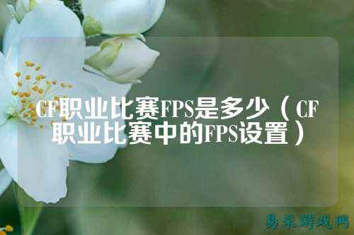 CF职业比赛FPS是多少(CF职业比赛中的FPS设置)