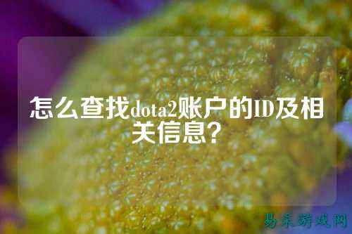怎么查找dota2账户的ID及相关信息?