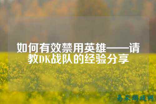 如何有效禁用英雄——请教DK战队的经验分享