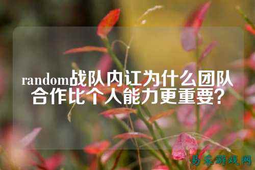 random战队内讧为什么团队合作比个人能力更重要?