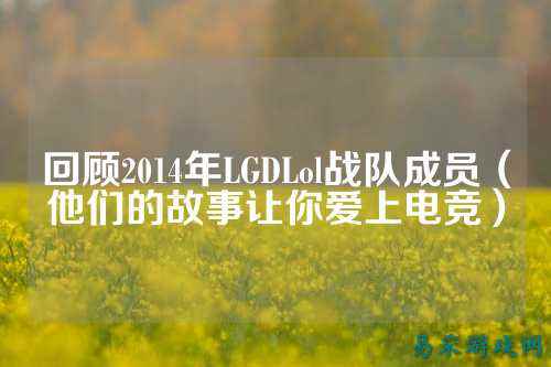 回顾2014年LGDLol战队成员(他们的故事让你爱上电竞)
